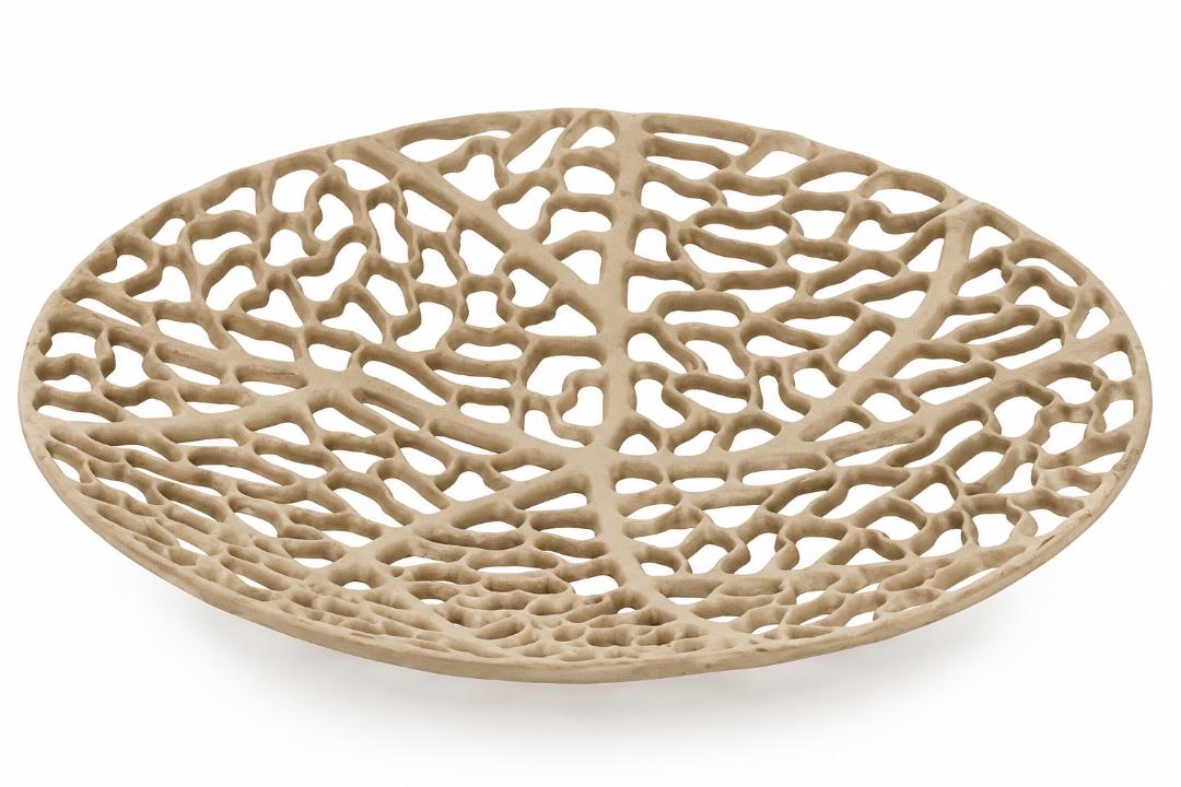 Contour Tray
